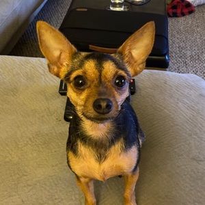 Meet your Posher, Alyssa